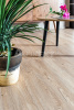 Кварцвиниловая плитка Alpine Floor ECO 6-6 Sequoia (SPC или LVT) Калифорния